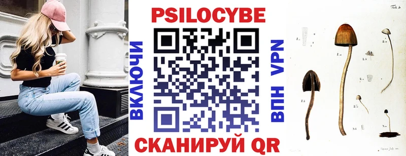 Галлюциногенные грибы Psilocybine cubensis  Макарьев 